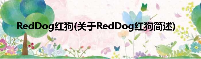 RedDog红狗(对于RedDog红狗简述)