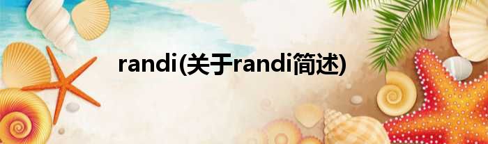 randi(对于randi简述)