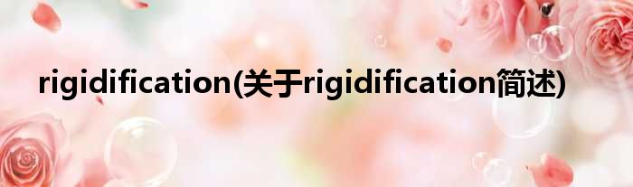 rigidification(对于rigidification简述)