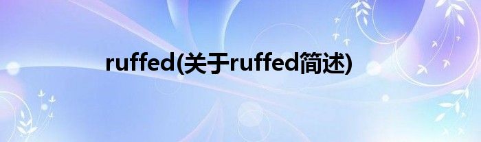 ruffed(对于ruffed简述)