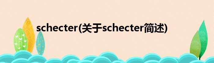 schecter(对于schecter简述)