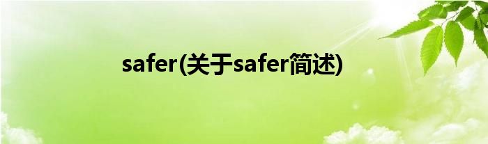 safer(对于safer简述)