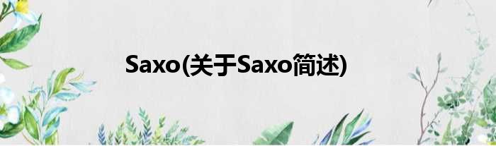 Saxo(对于Saxo简述)