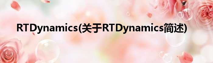 RTDynamics(对于RTDynamics简述)