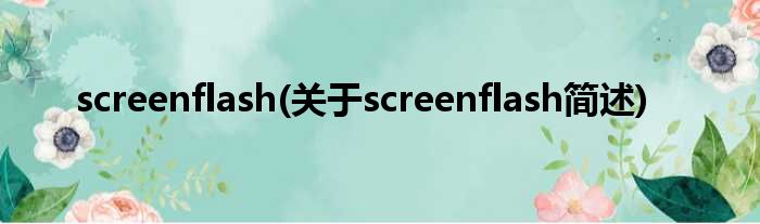 screenflash(对于screenflash简述)