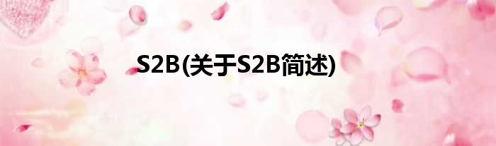 S2B(对于S2B简述)