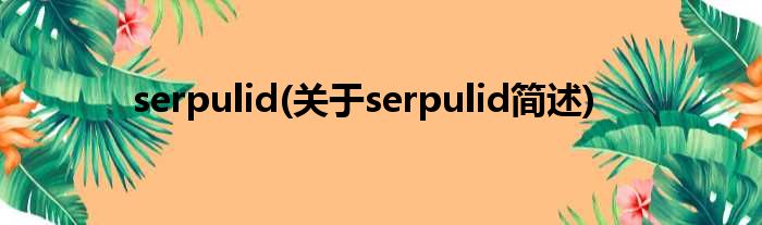 serpulid(对于serpulid简述)