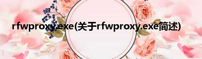rfwproxy.exe(对于rfwproxy.exe简述)