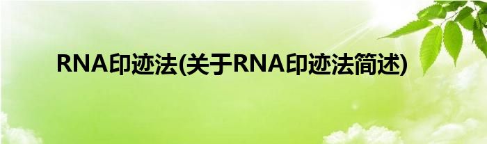RNA印迹法(对于RNA印迹法简述)