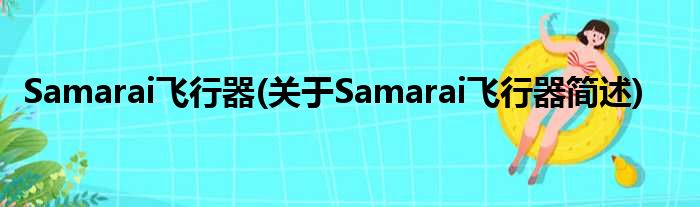 Samarai飞翔器(对于Samarai飞翔器简述)