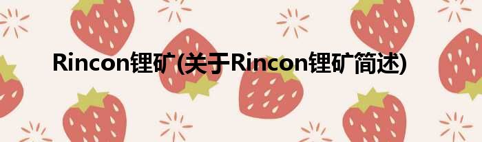 Rincon锂矿(对于Rincon锂矿简述)