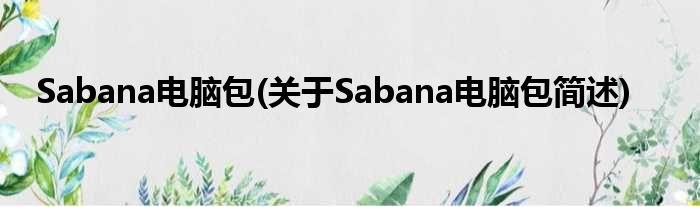 Sabana电脑包(对于Sabana电脑包简述)