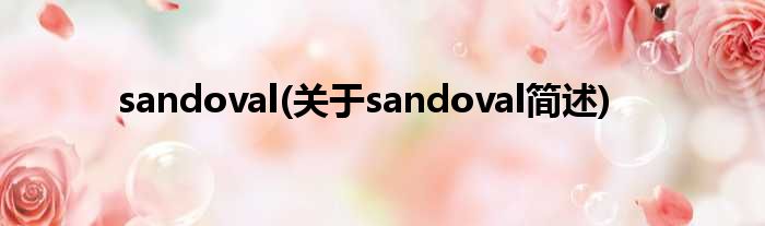 sandoval(对于sandoval简述)