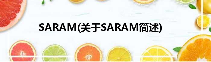 SARAM(对于SARAM简述)