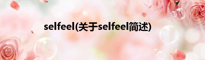 selfeel(对于selfeel简述)