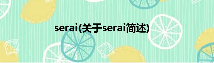 serai(对于serai简述)