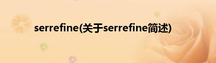 serrefine(对于serrefine简述)