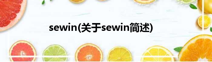 sewin(对于sewin简述)