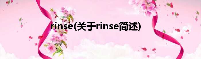rinse(对于rinse简述)