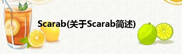 Scarab(对于Scarab简述)
