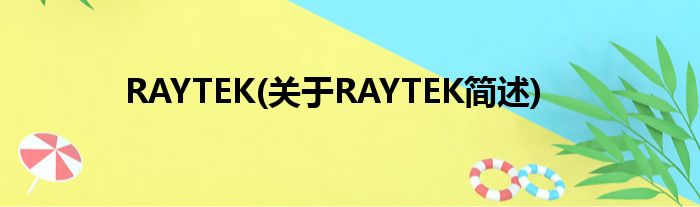 RAYTEK(对于RAYTEK简述)