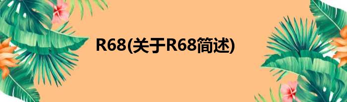 R68(对于R68简述)