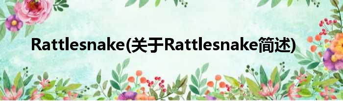 Rattlesnake(对于Rattlesnake简述)