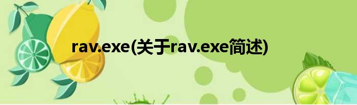 rav.exe(对于rav.exe简述)