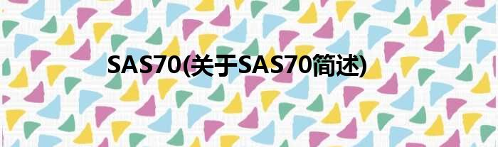 SAS70(对于SAS70简述)