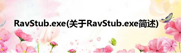RavStub.exe(对于RavStub.exe简述)