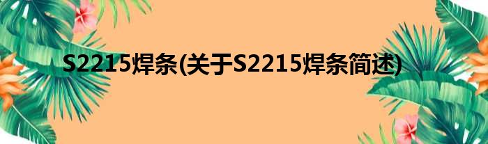S2215焊条(对于S2215焊条简述)
