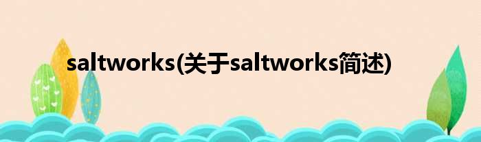 saltworks(对于saltworks简述)