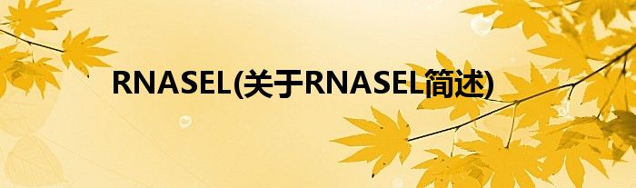 RNASEL(对于RNASEL简述)