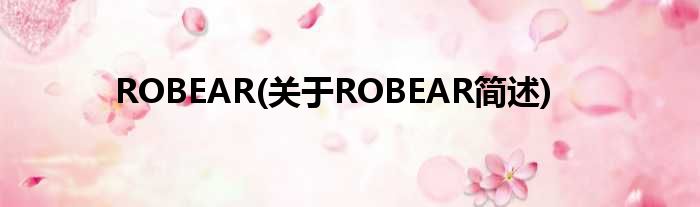 ROBEAR(对于ROBEAR简述)