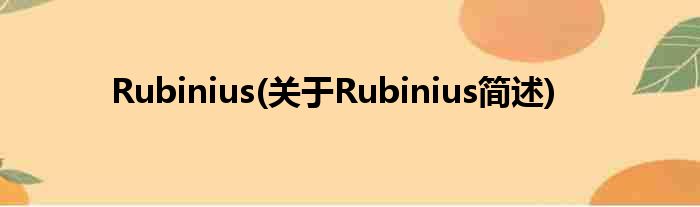 Rubinius(对于Rubinius简述)