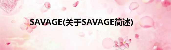 SAVAGE(对于SAVAGE简述)