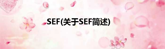 SEF(对于SEF简述)