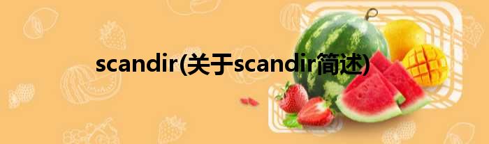scandir(对于scandir简述)