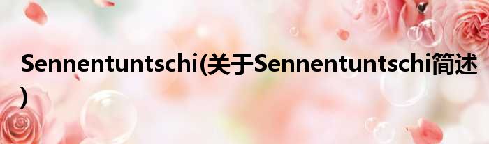 Sennentuntschi(对于Sennentuntschi简述)