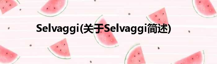 Selvaggi(对于Selvaggi简述)
