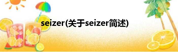 seizer(对于seizer简述)