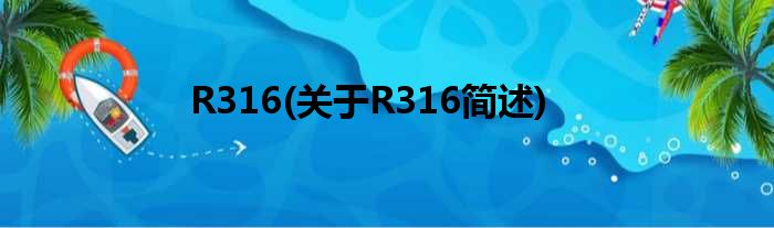 R316(对于R316简述)