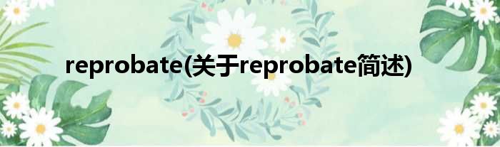 reprobate(对于reprobate简述)