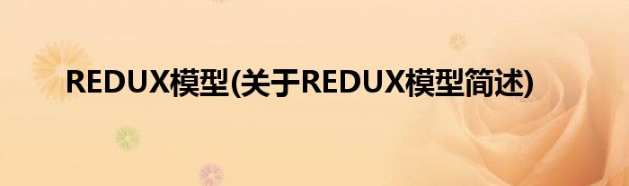 REDUX模子(对于REDUX模子简述)