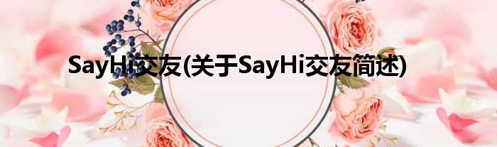 SayHi结交(对于SayHi结交简述)