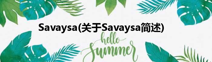 Savaysa(对于Savaysa简述)