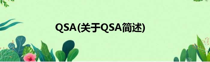 QSA(对于QSA简述)