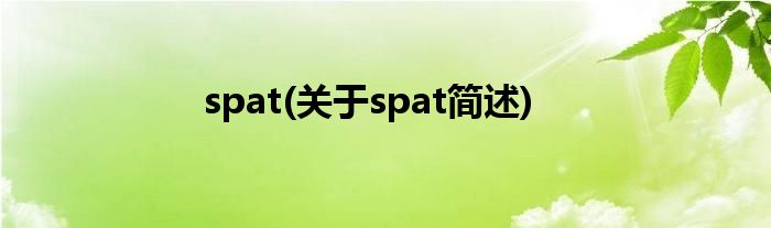 spat(对于spat简述)
