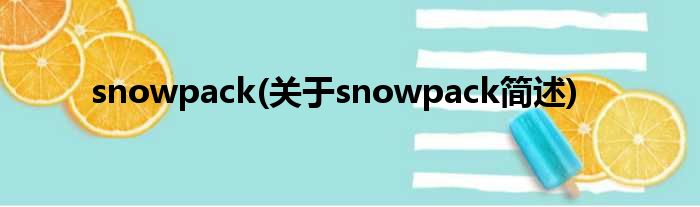 snowpack(对于snowpack简述)