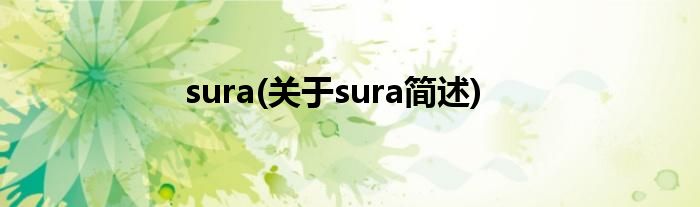 sura(对于sura简述)